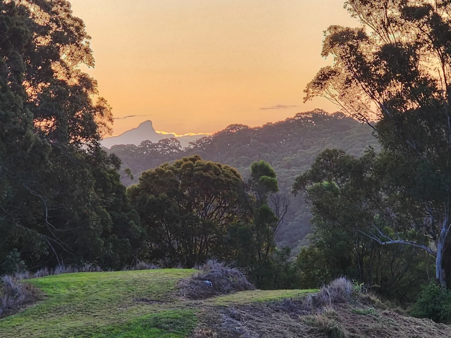 Lot 3/336 Tweed Valley Way (1/41)