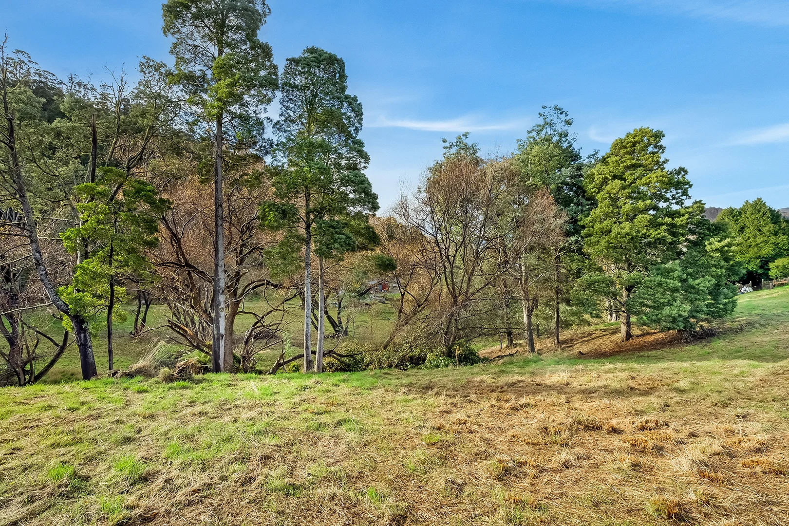 Lot 3 New Road - Image 3