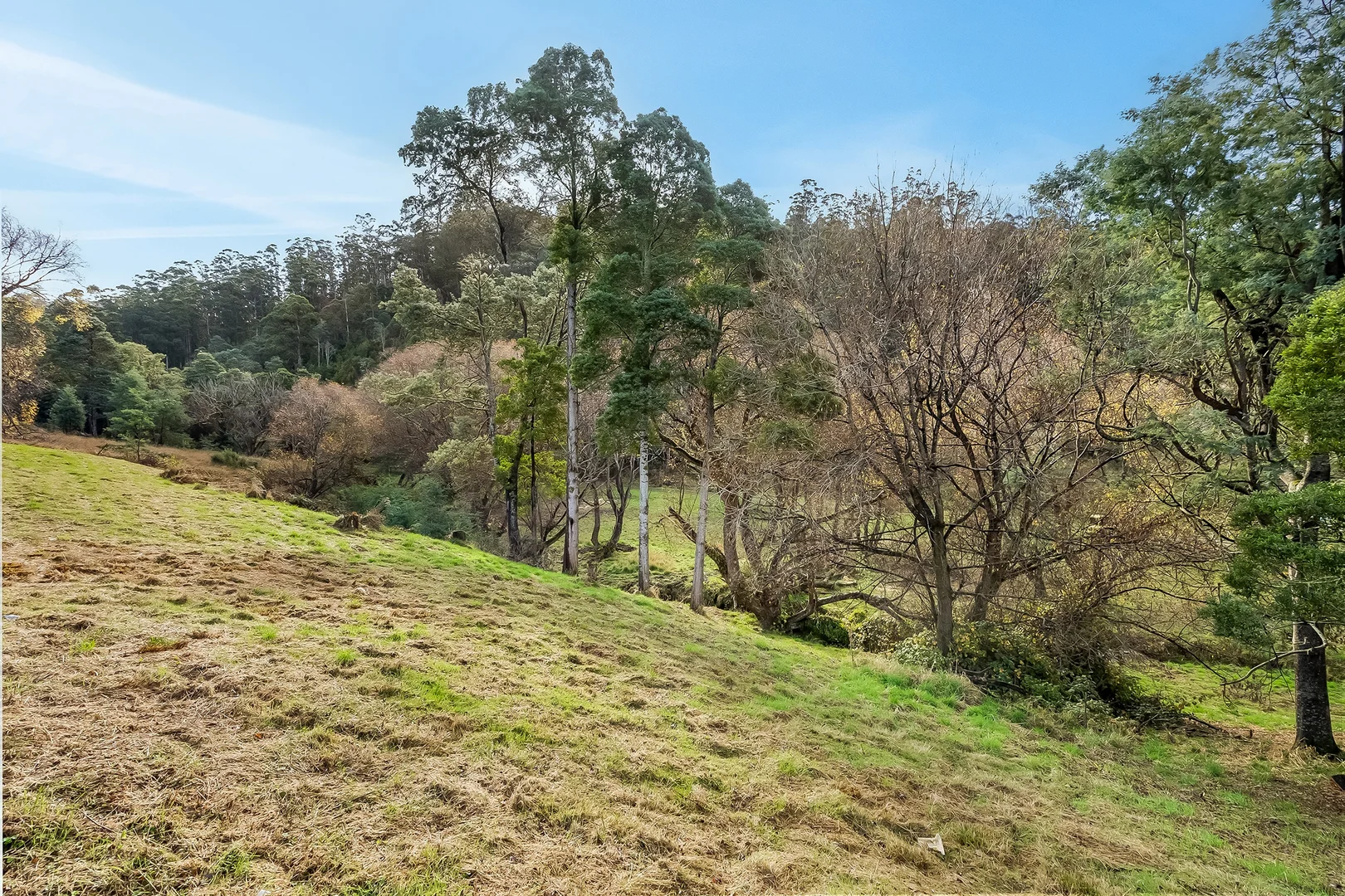 Lot 3 New Road - Image 2