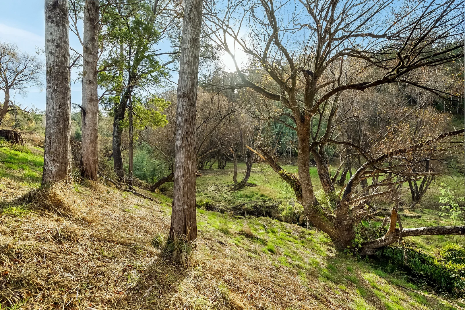 Lot 3 New Road - Image 4