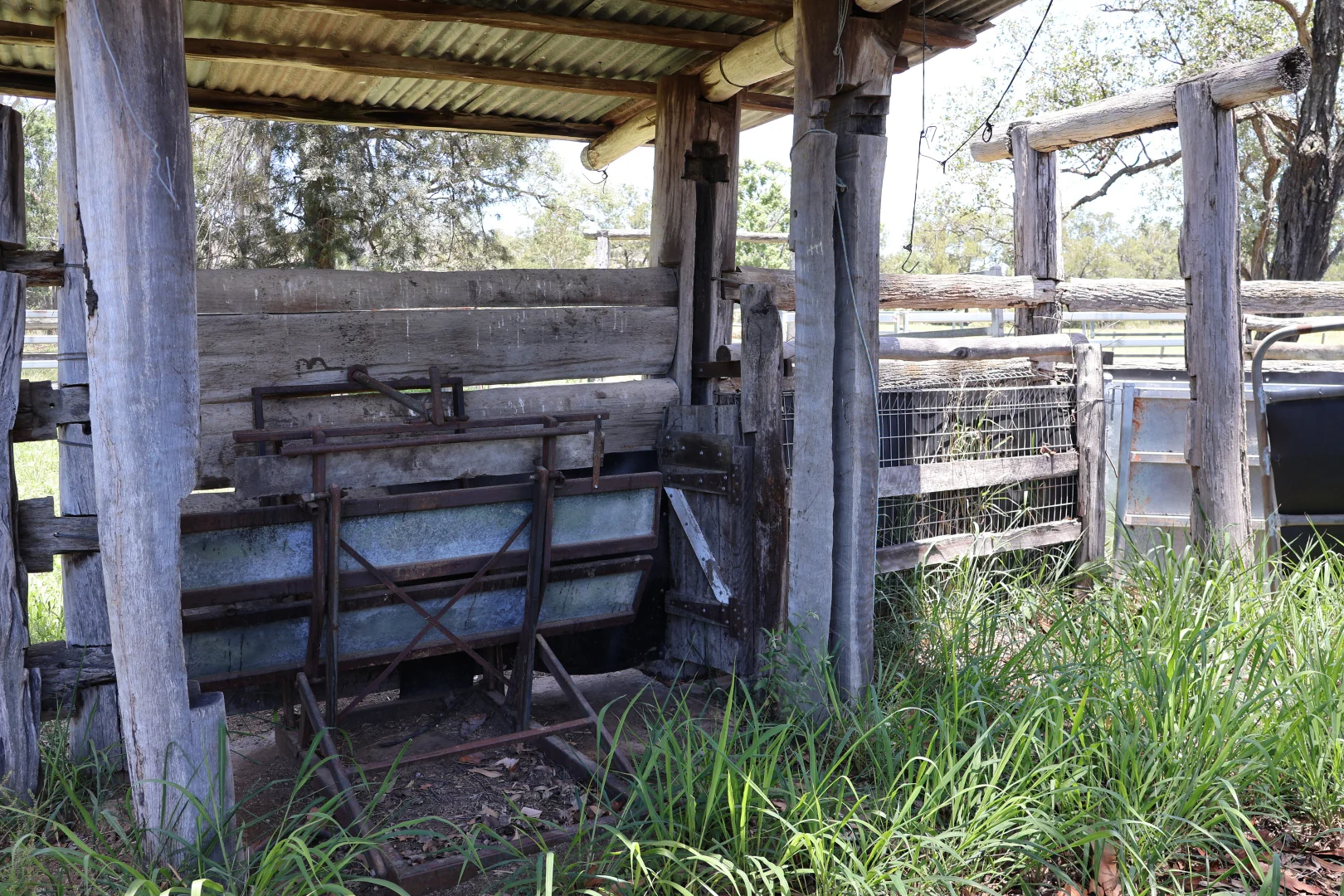 Lot 33 - Image 5
