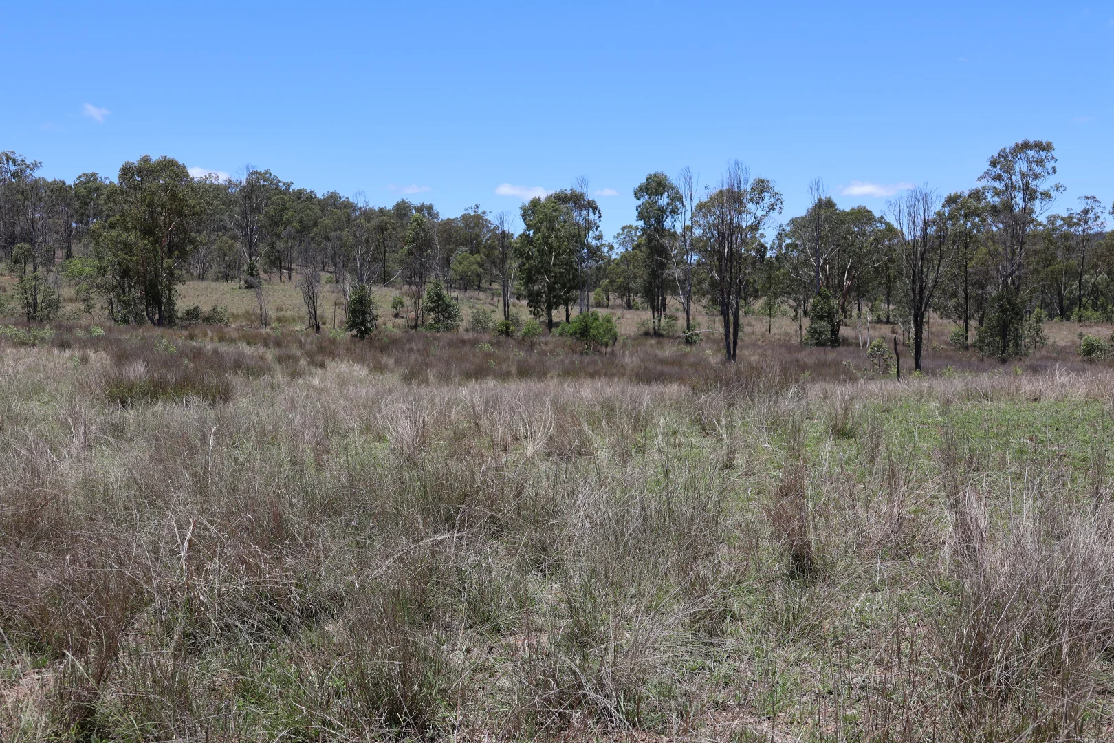 Lot 33 - Image 3