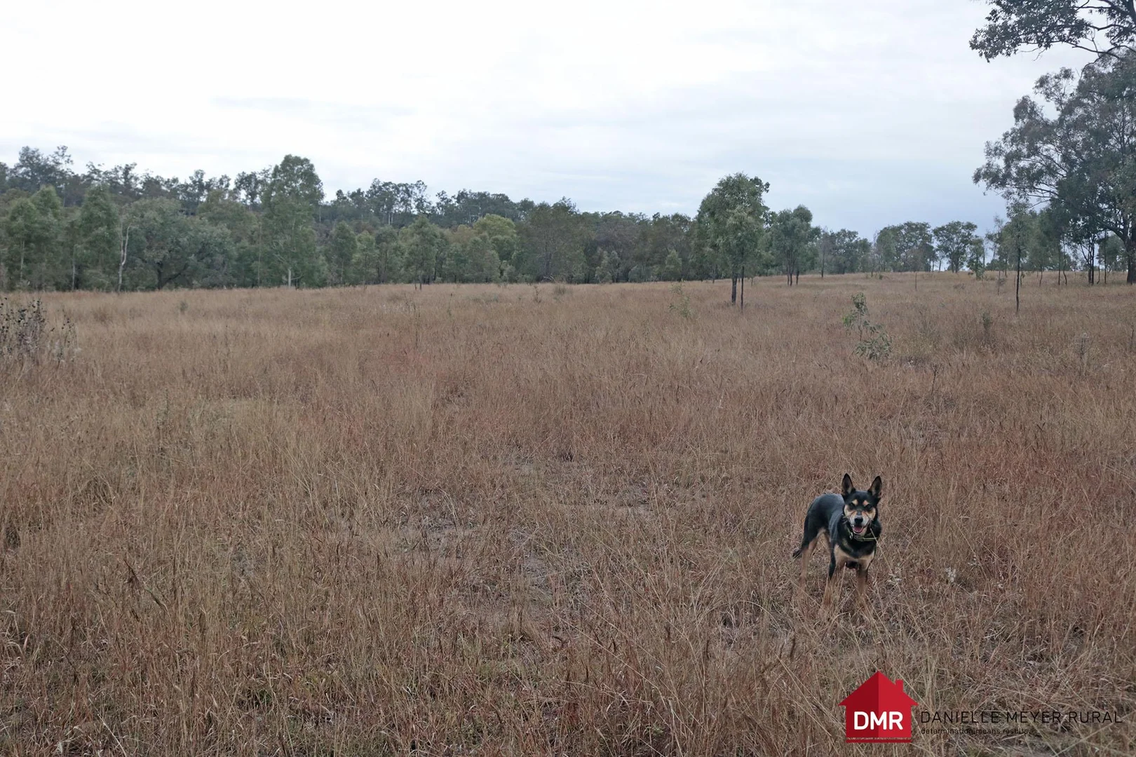 Lot 33-35 Bilboolan Road - Image 5