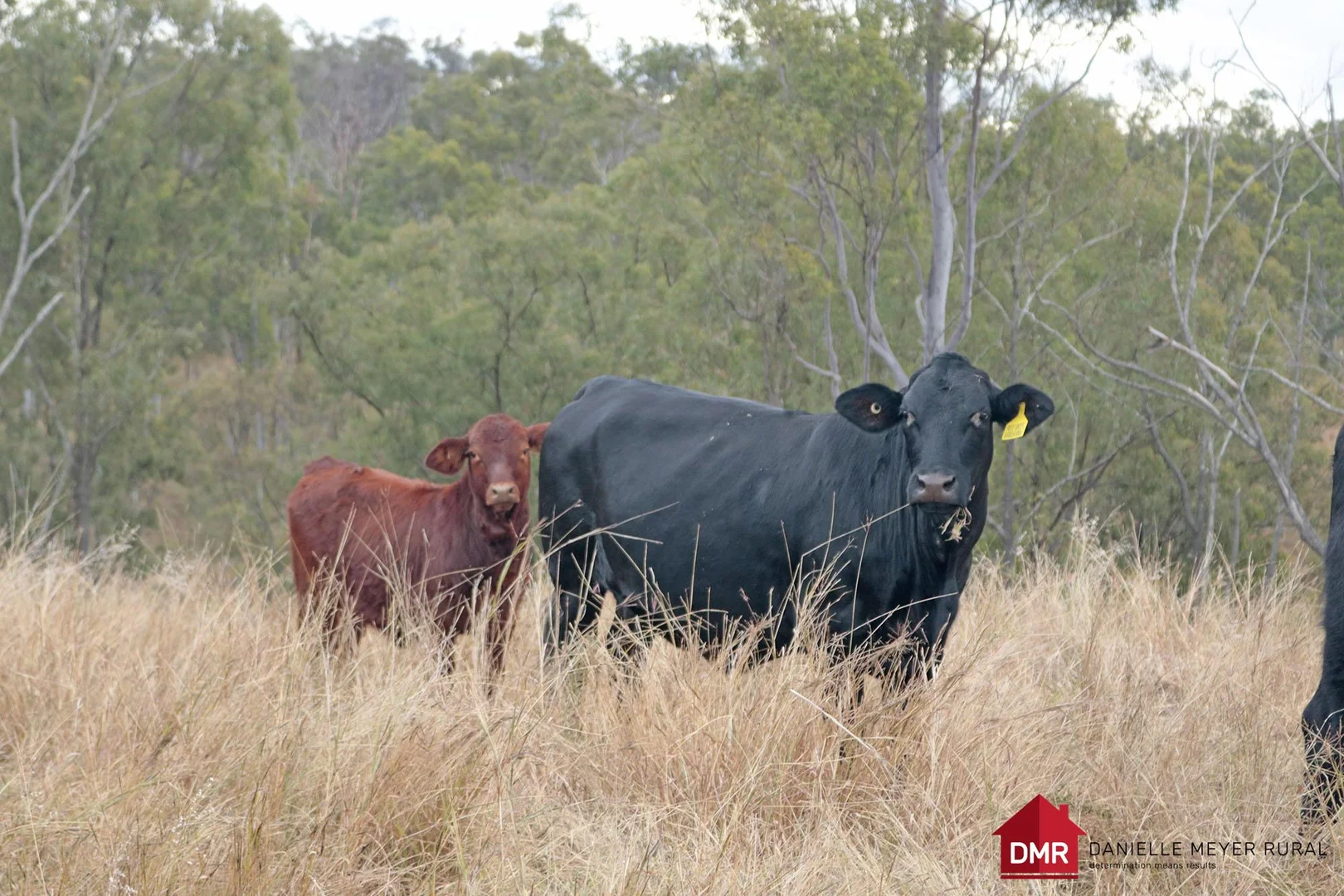 Lot 33-35 Bilboolan Road - Image 2