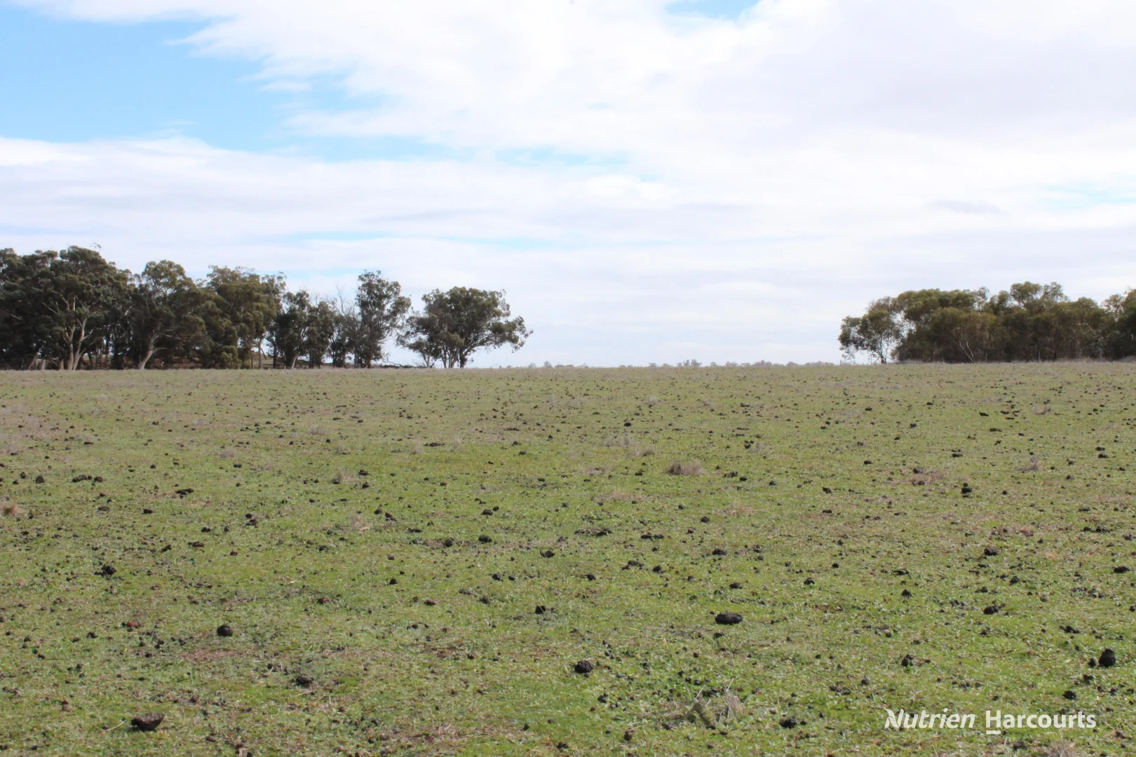 Lot 4031 Jackadine Farm - Image 3