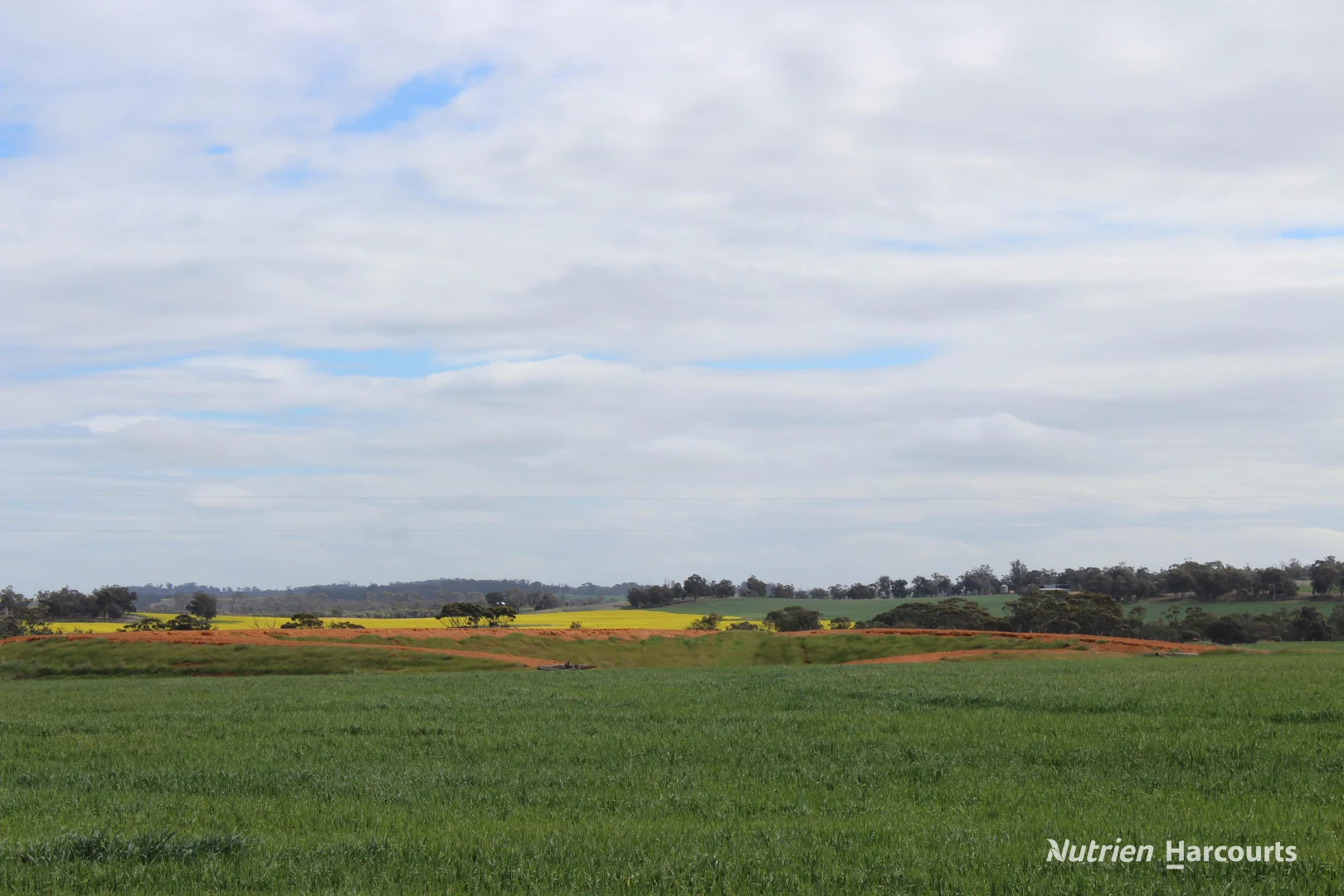Lot 4031 Jackadine Farm - Image 5