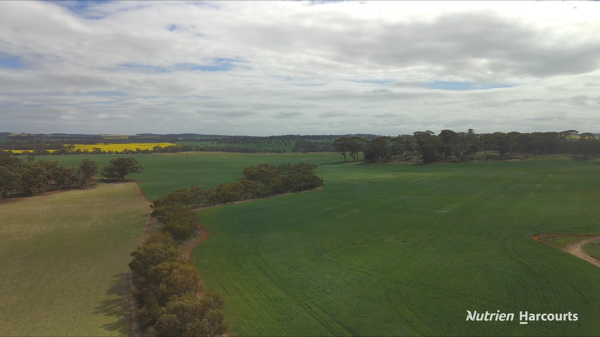 Lot 4031 Jackadine Farm (1/3)