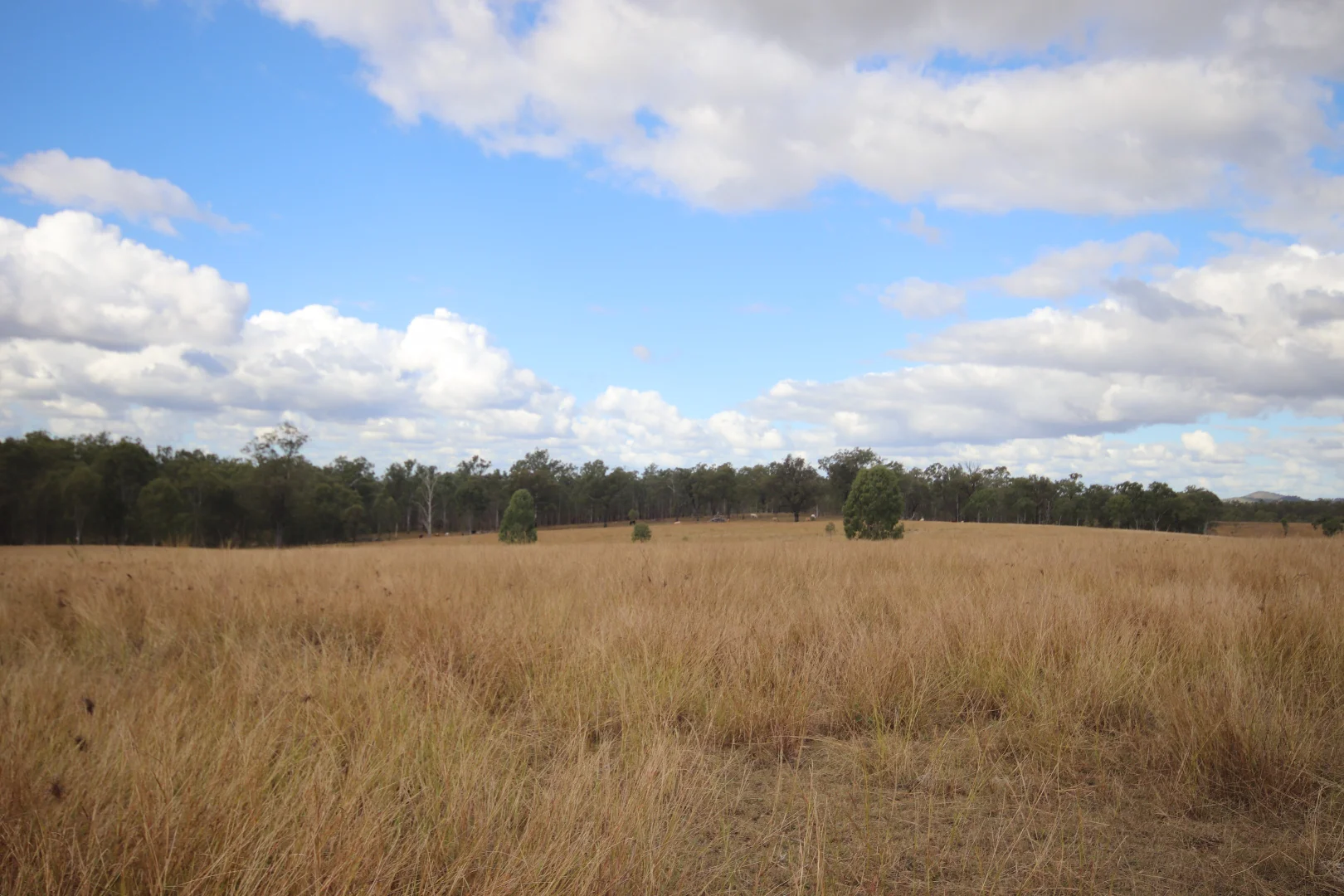 Lot 43 and Lot 50 Kalliwa Road - Image 4