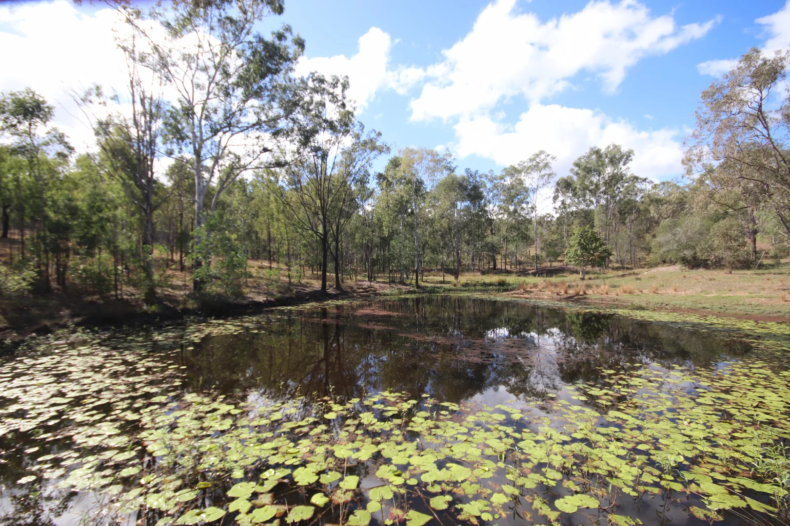Lot 43 and Lot 50 Kalliwa Road - Image 5