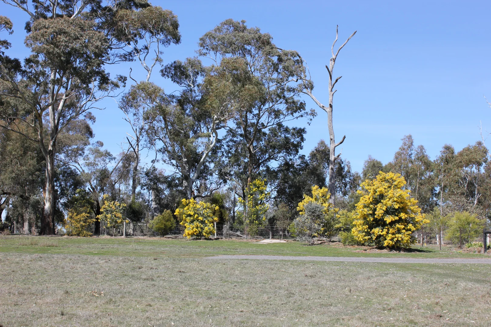 Lot 46 & 47 Pollards Road - Image 3