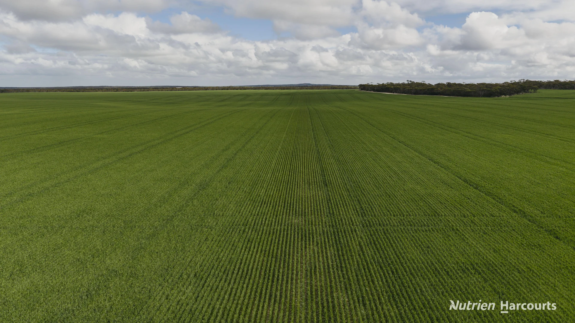 Lot 491 Parmango Road - Image 5