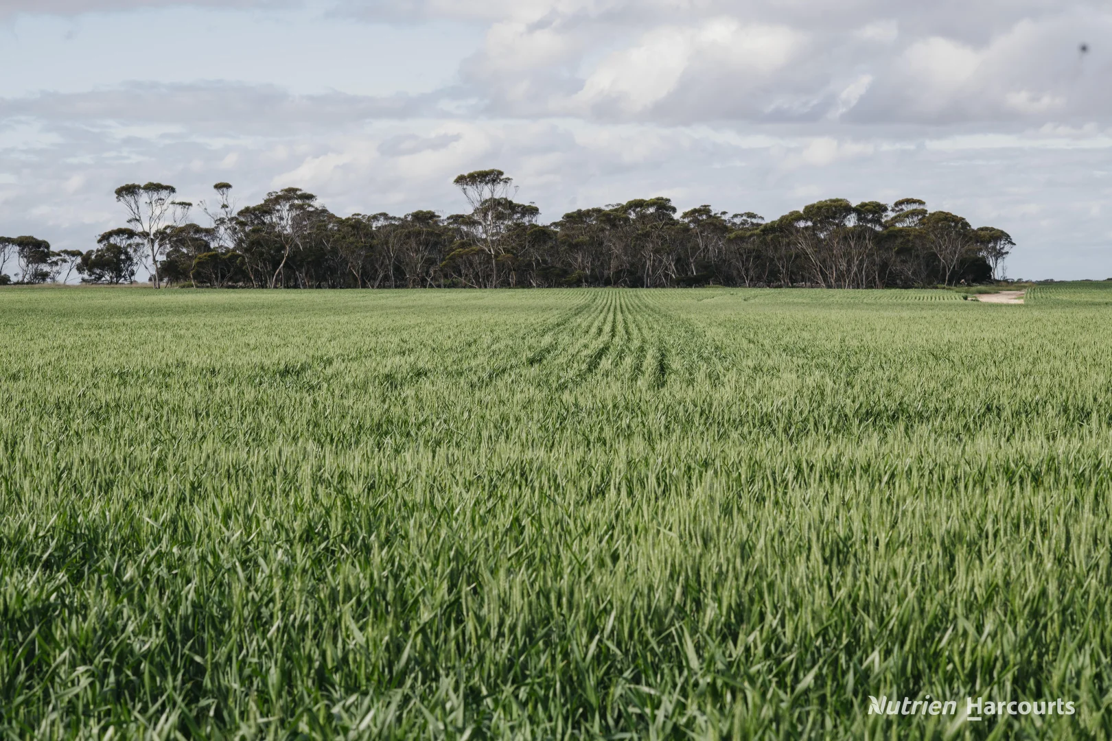 Lot 491 Parmango Road - Image 2