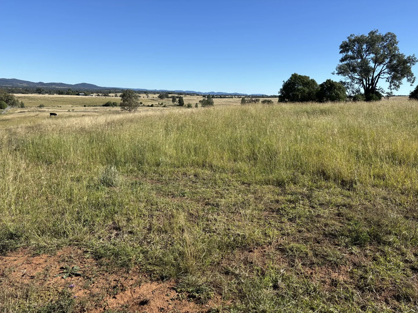 Lot 52/Salter Street (1/18)