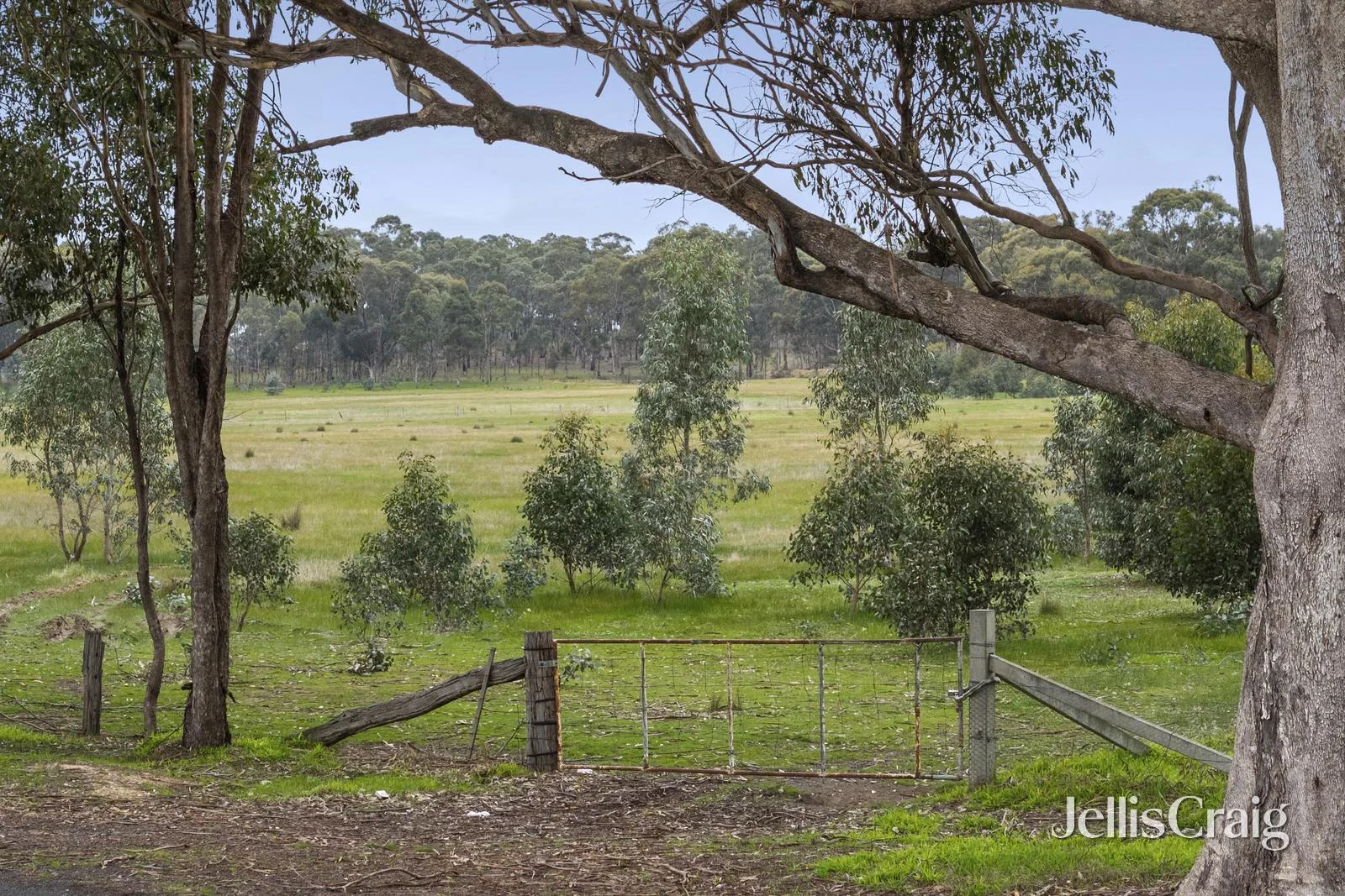 Lot 6 & 7 - Image 3