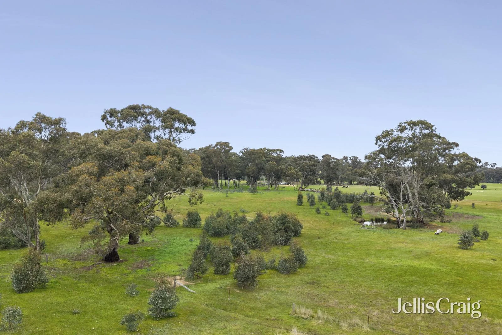 Lot 6 & 7 - Image 4