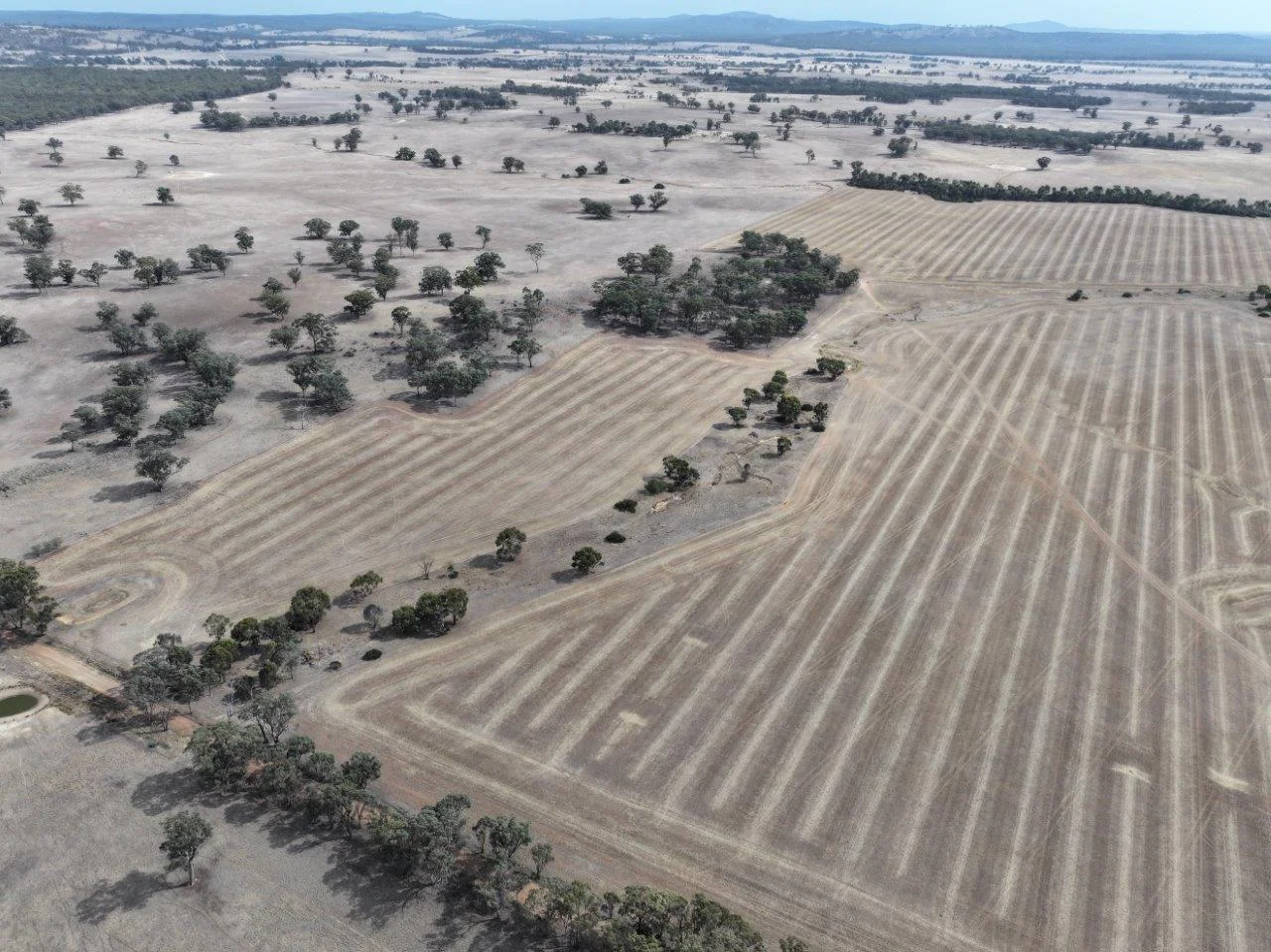 Lot 8 Dunolly-Orville Road - Image 5