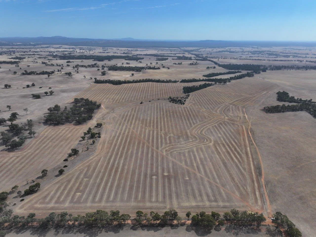 Lot 8 Dunolly-Orville Road - Image 3