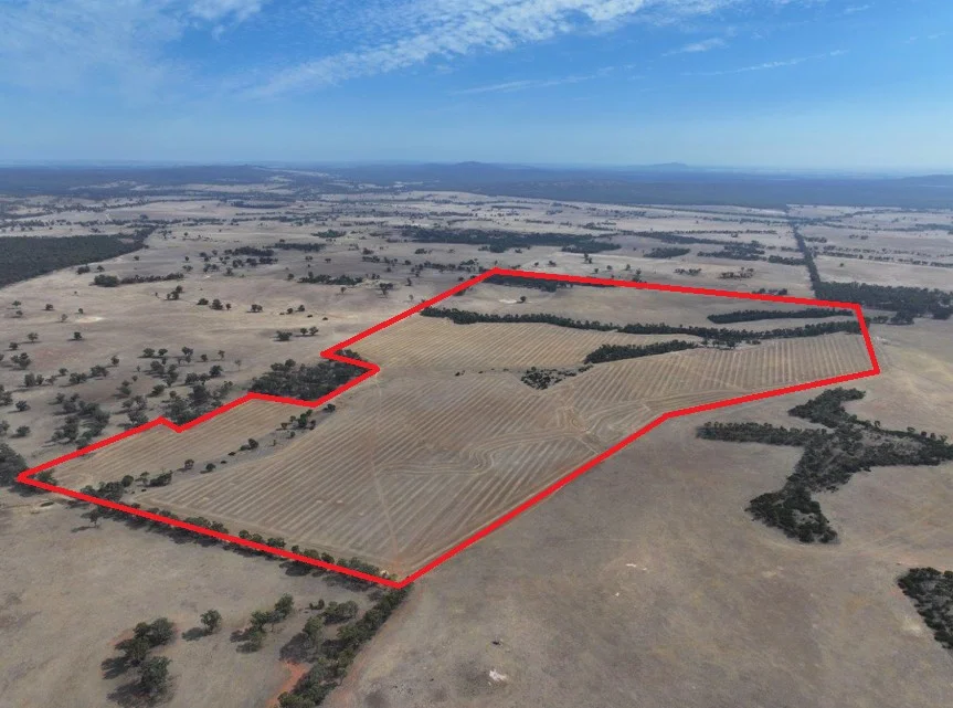 Lot 8 Dunolly-Orville Road (1/11)