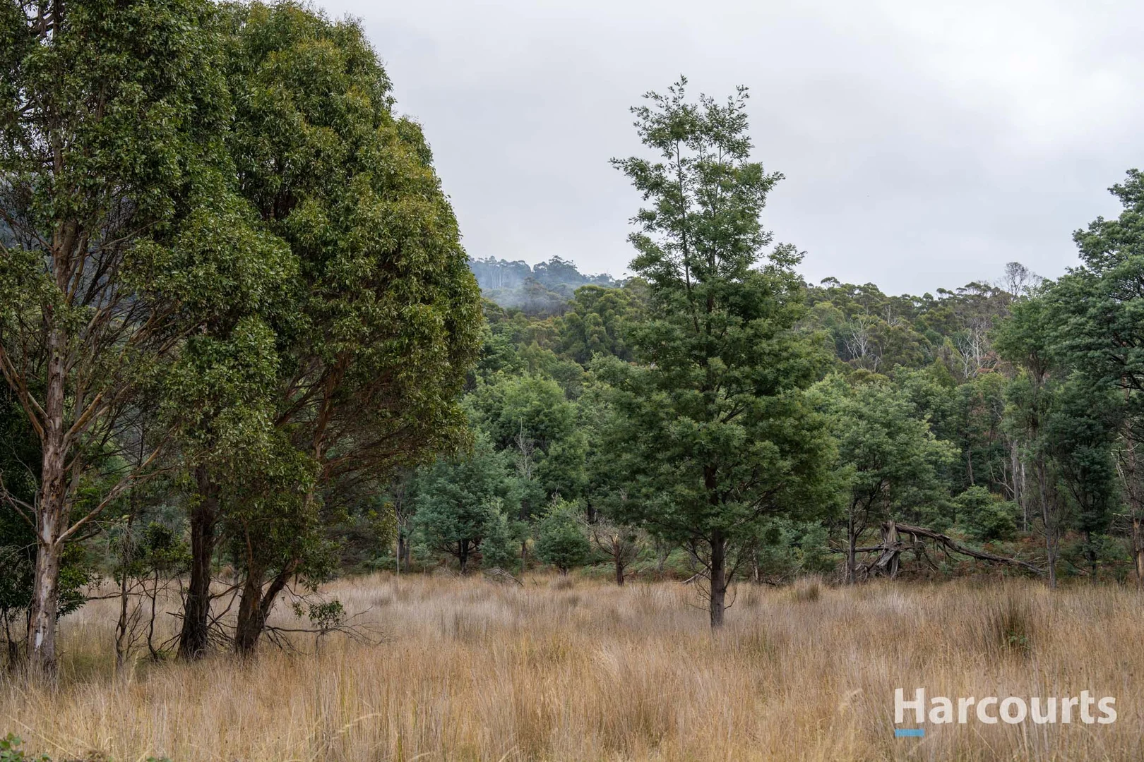 Lot 8 Wattle Lea Road - Image 2