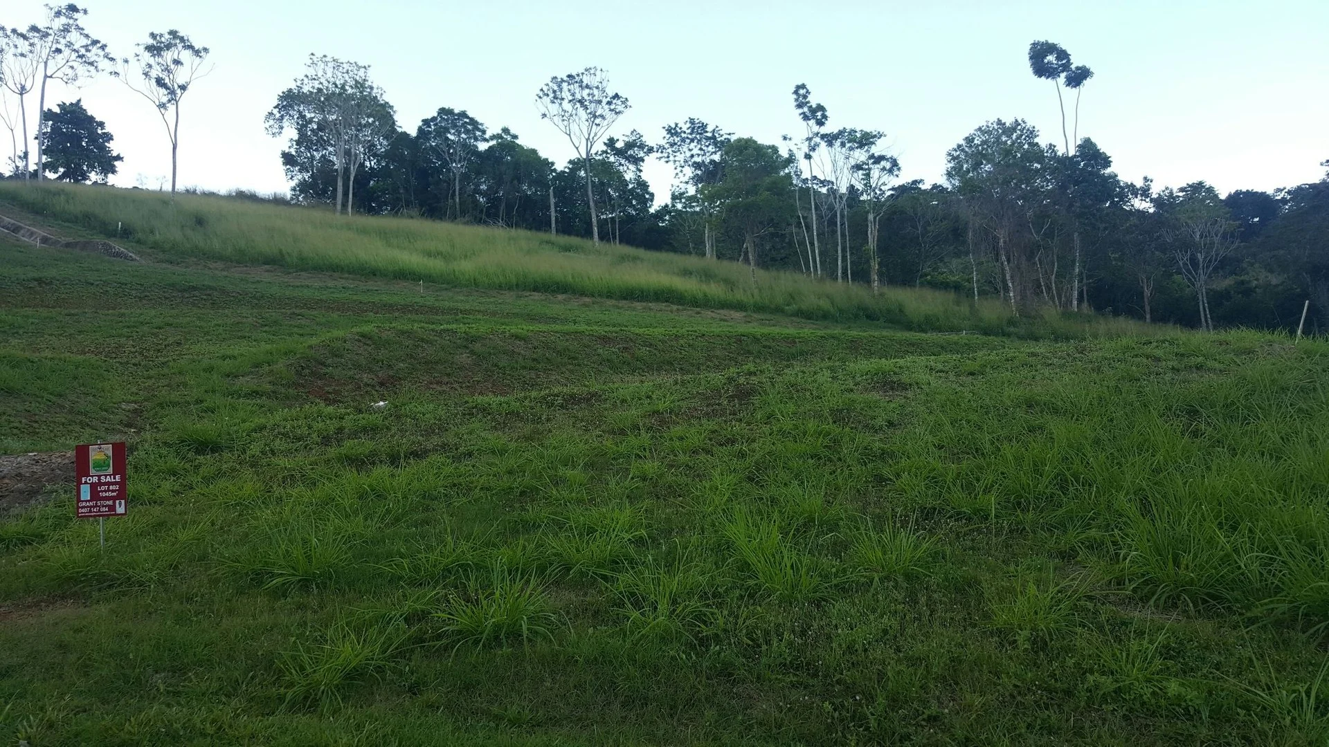 Lot 802 Red Peak Boulevard (1/3)