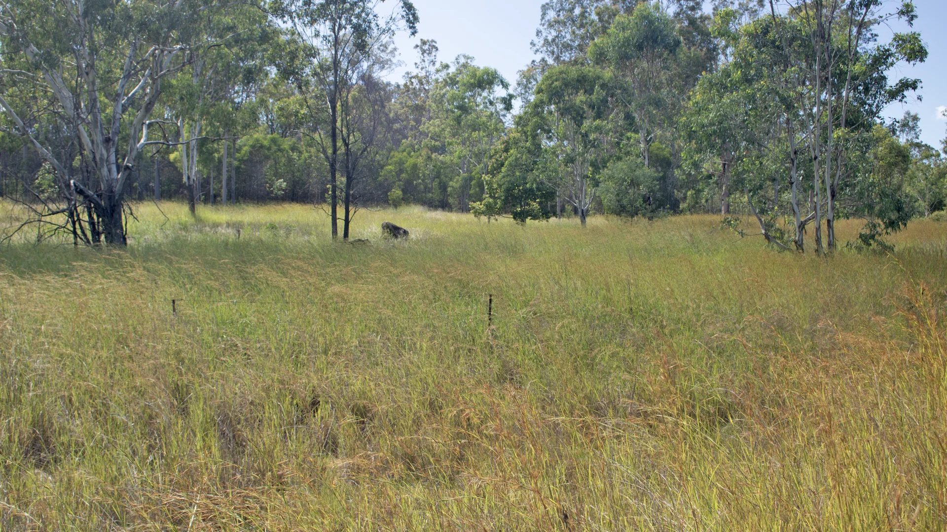 Lot 881 Burnett Highway - Image 2