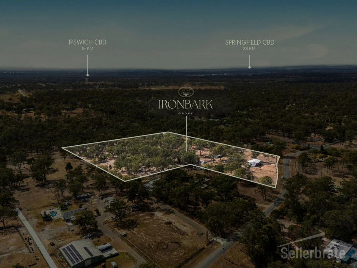 Lot 9 - Image 3