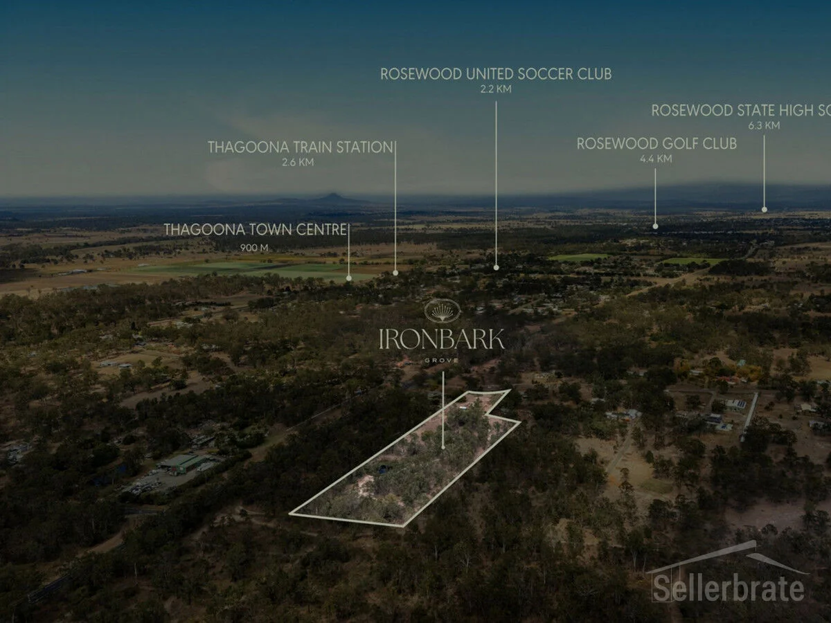 Lot 9 - Image 2