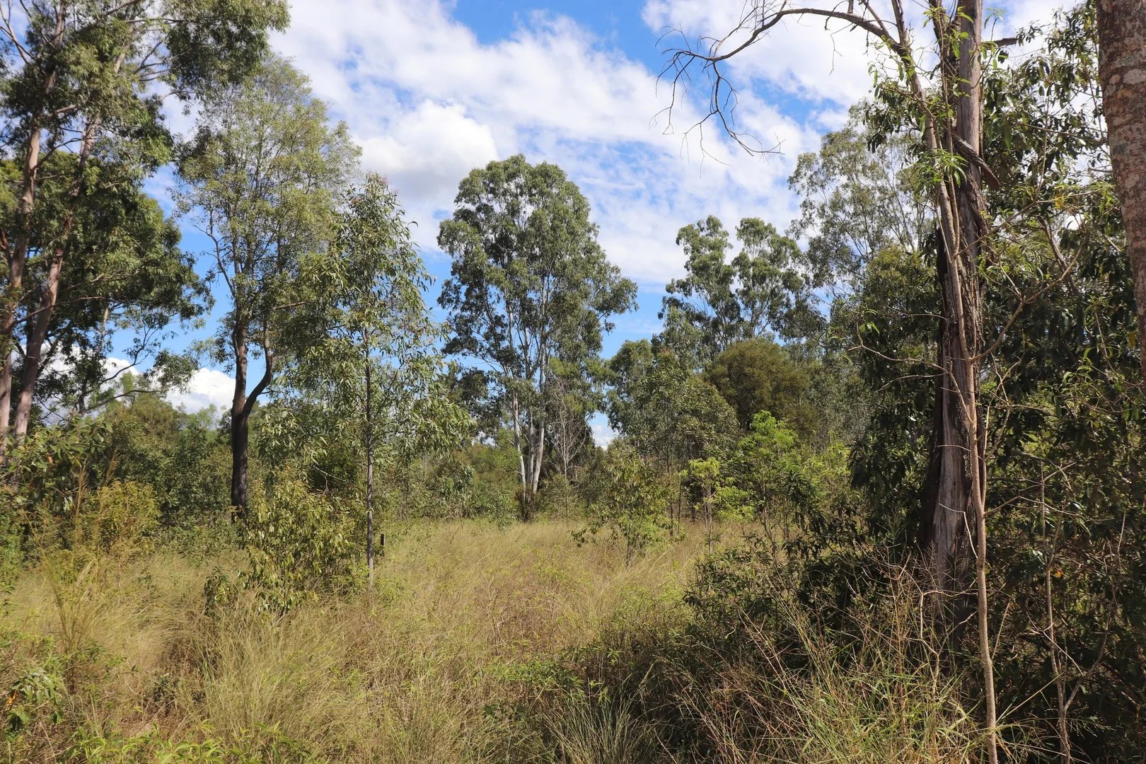 Lot A Forestry Road (1/3)