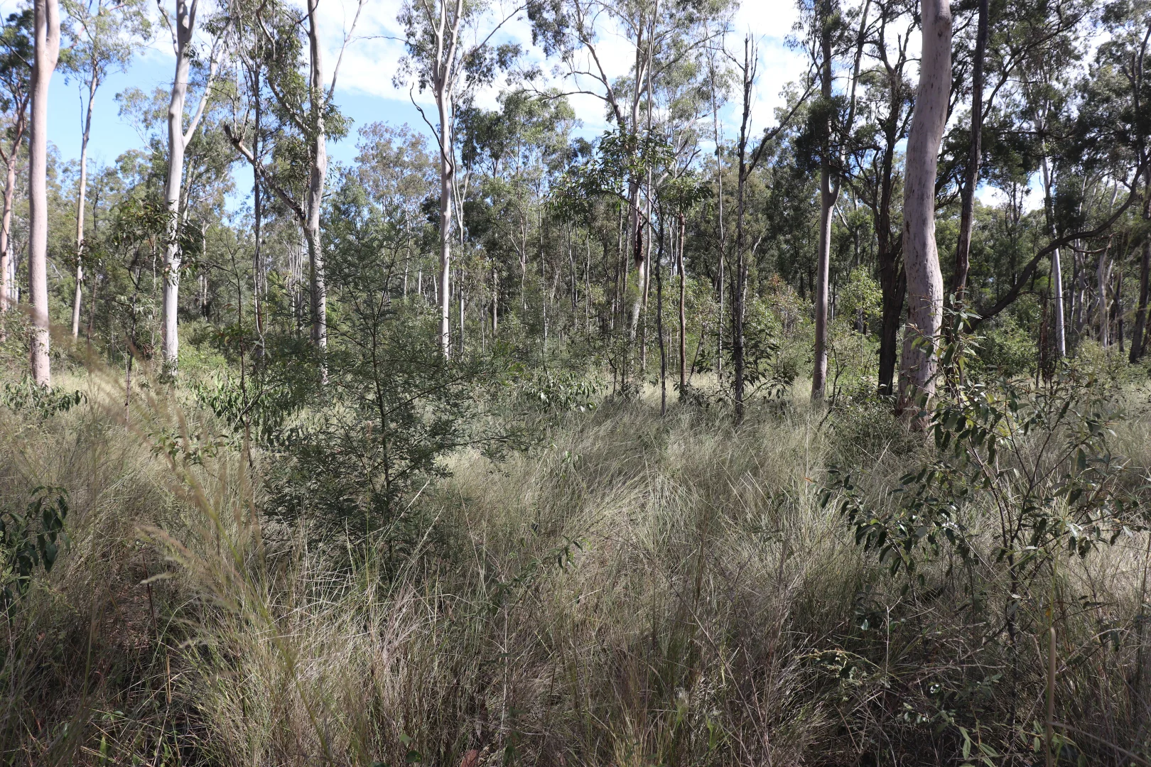 Lot A Forestry Road - Image 5