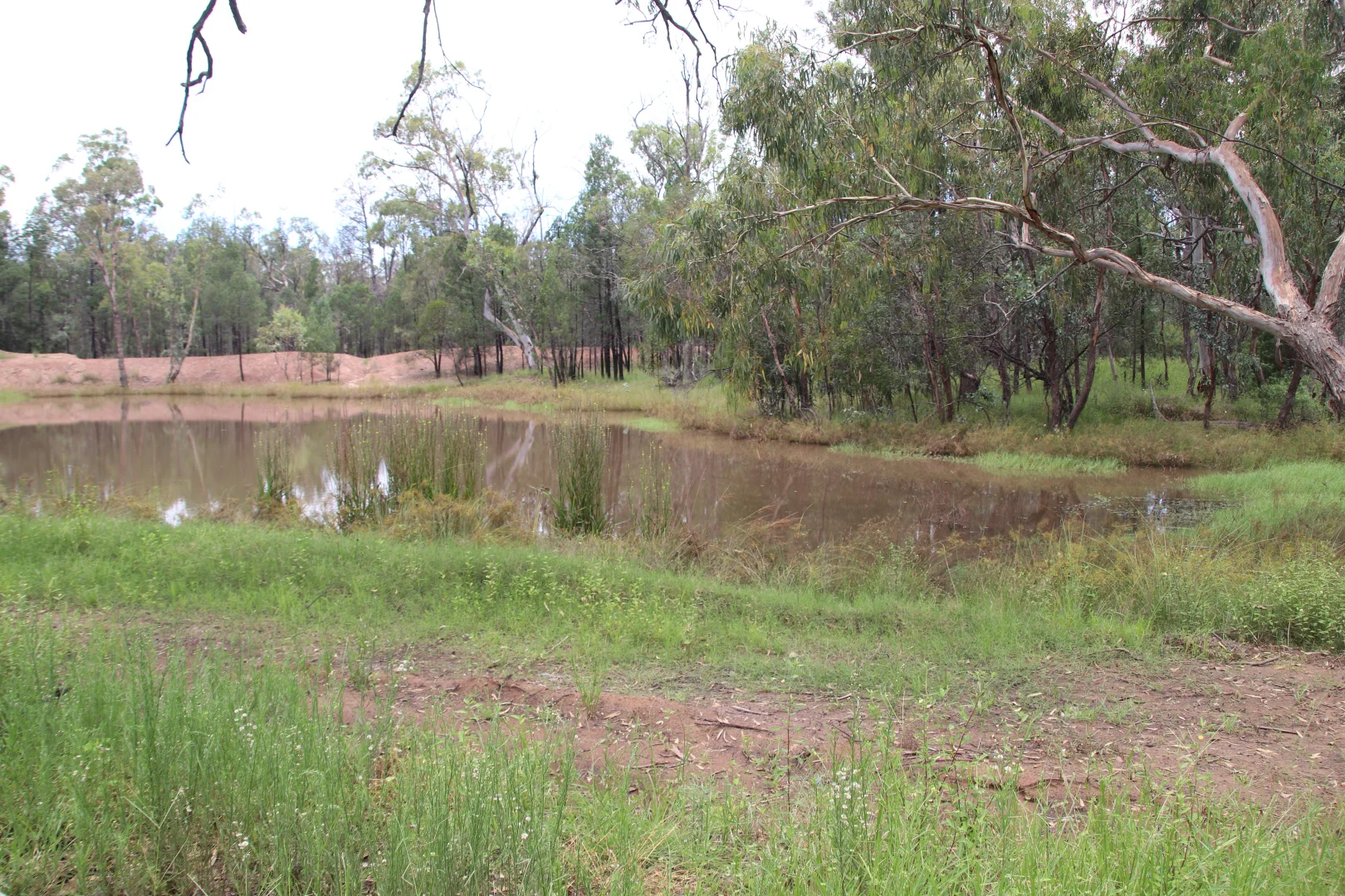 Lots 1 & N Yagaburne-Boondandilla Road - Image 4