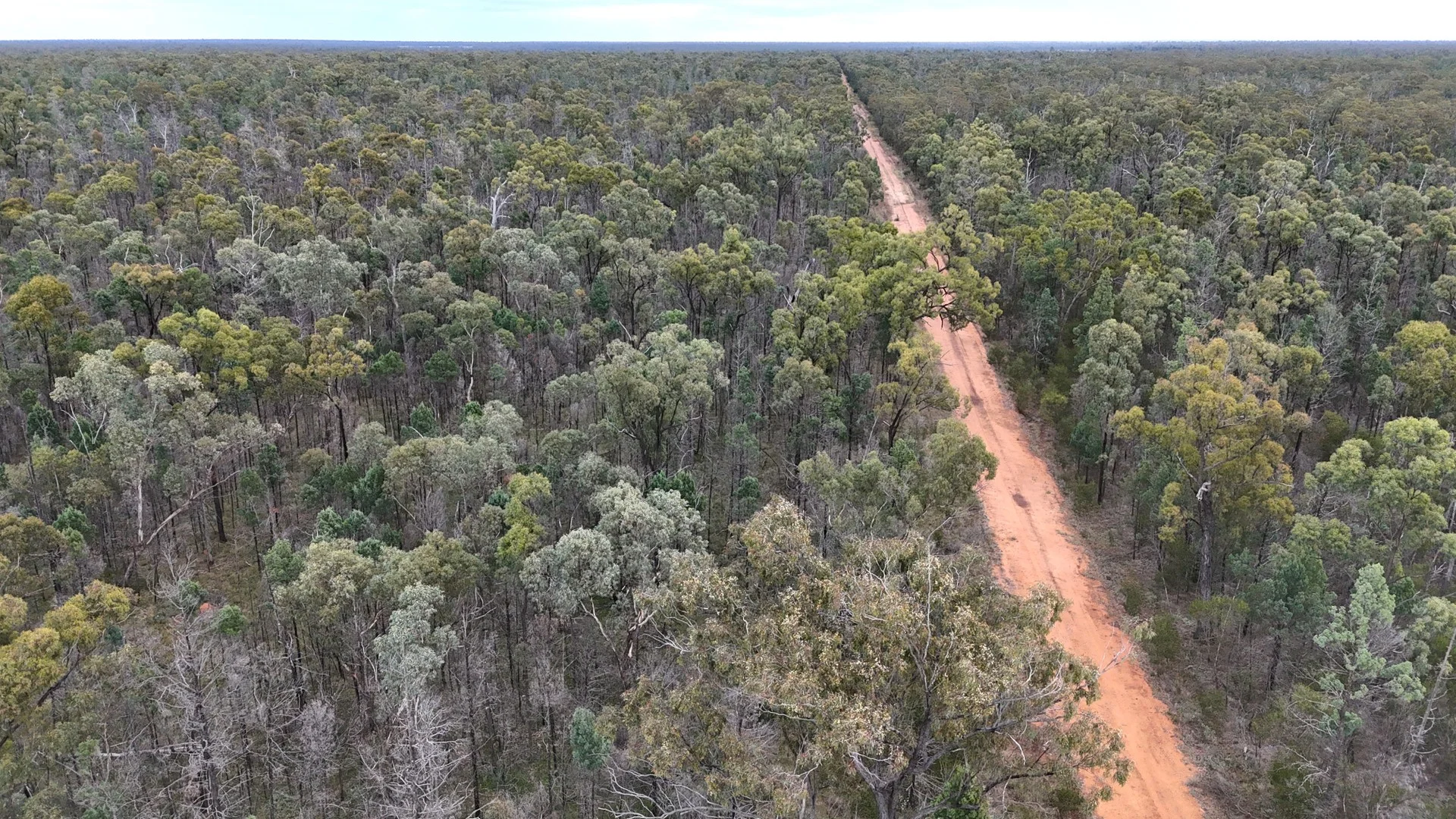 Lots 1 & N Yagaburne-Boondandilla Road - Image 2