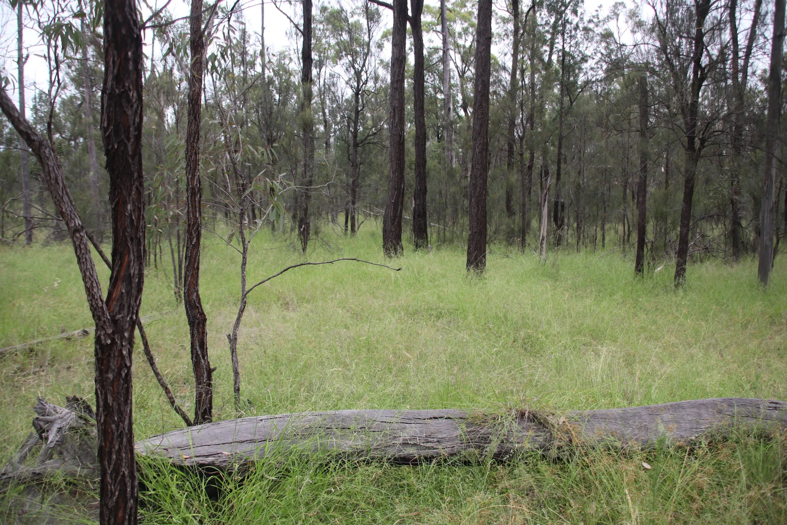 Lots 1 & N Yagaburne-Boondandilla Road - Image 5