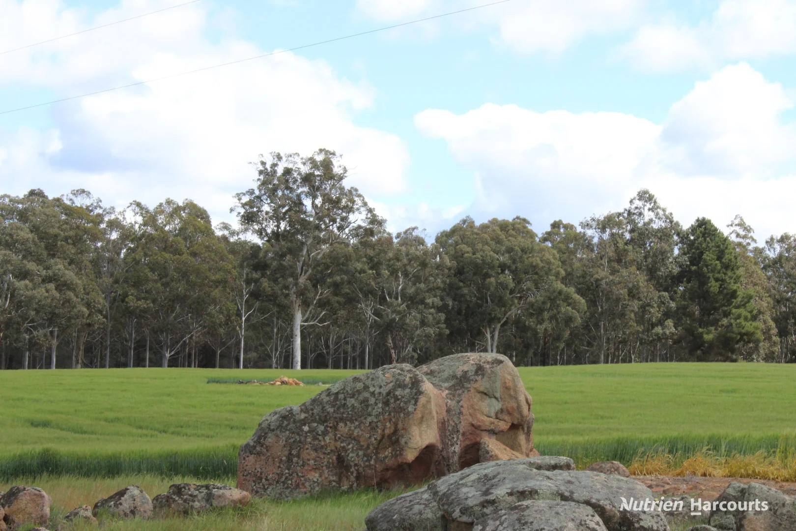 Lots 10632 & 25721 Strange Road - Image 4