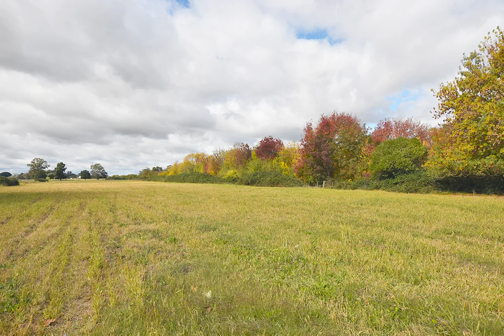 Murphy Road - Image 4