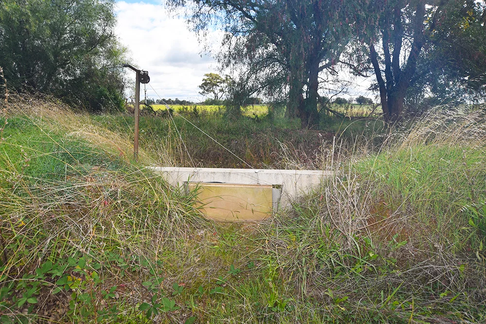 Murphy Road - Image 5