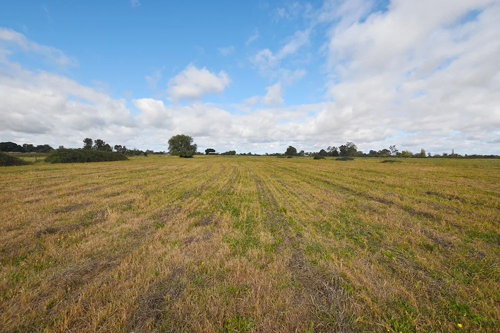 Murphy Road - Image 3