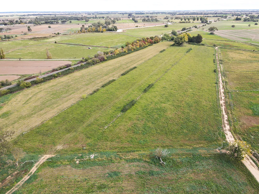 Murphy Road - Image 2