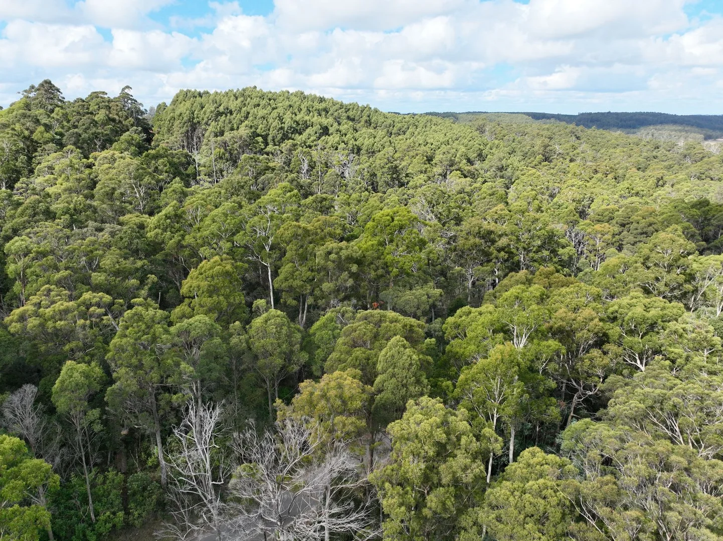 Part of 190 Porters Bridge Road - Image 4