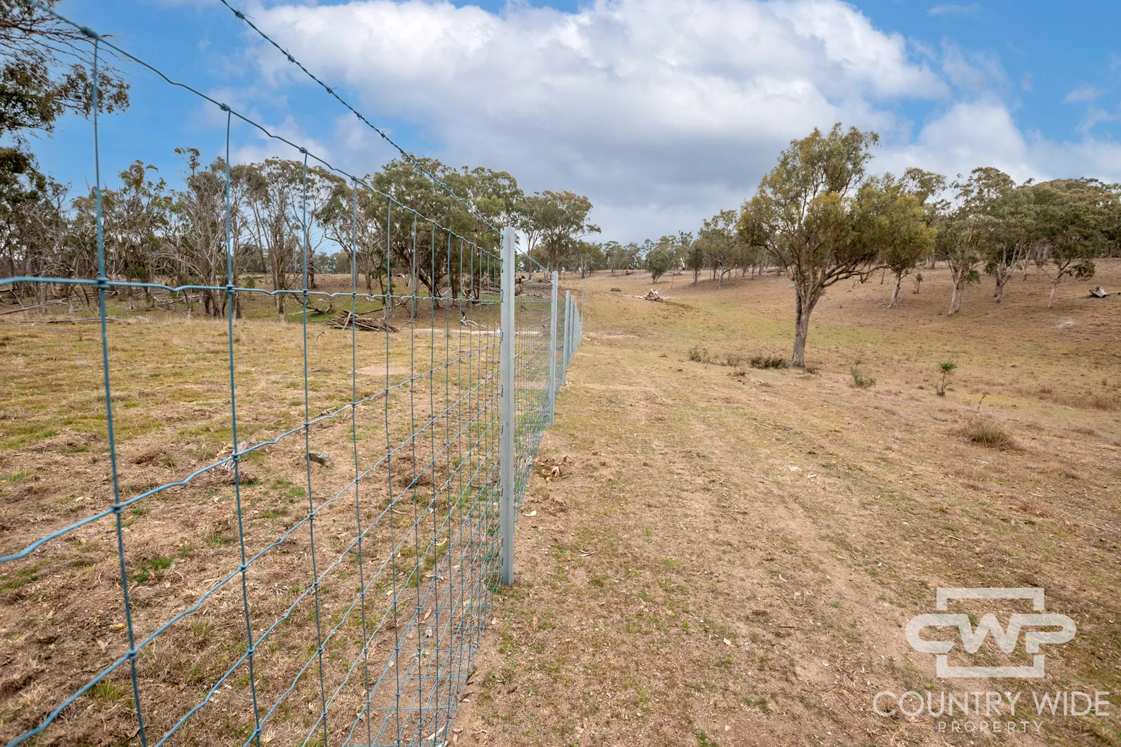 Plain View - Image 4