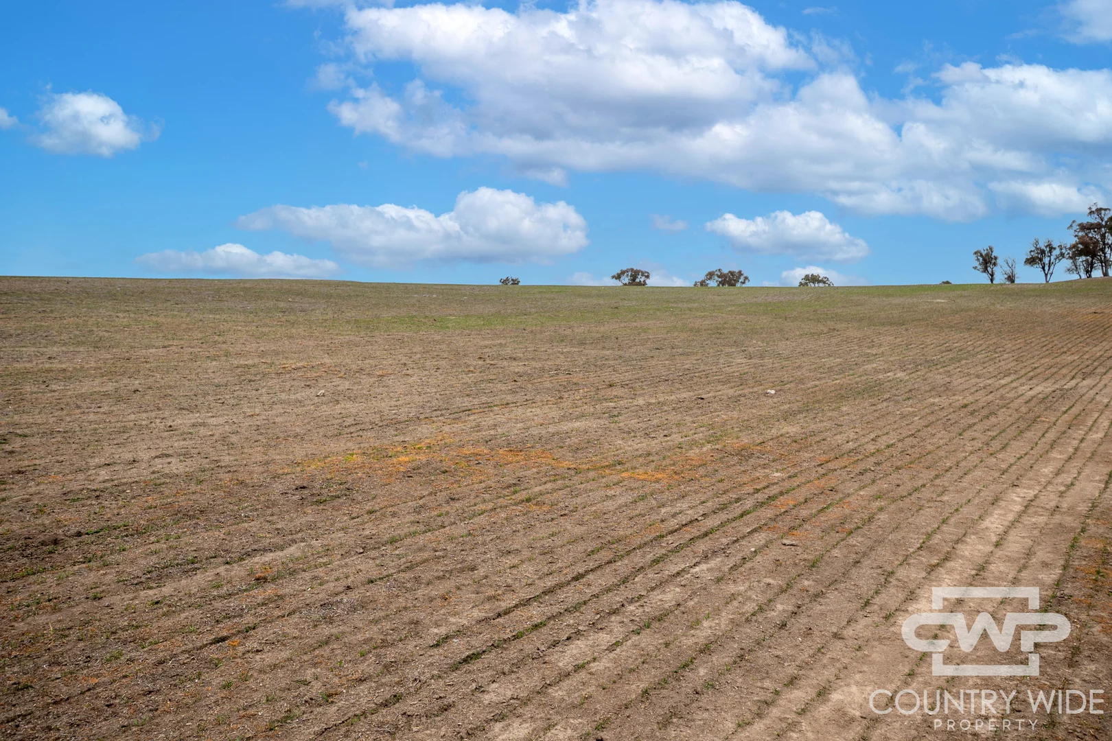 Plain View - Image 5