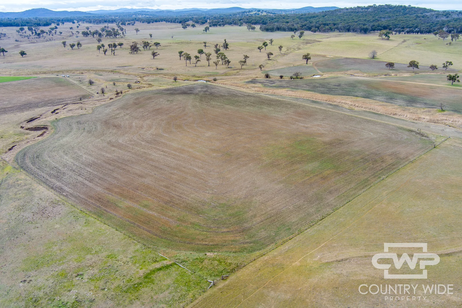 Plain View South - Image 3