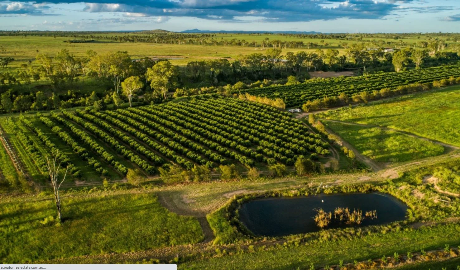 Reids Creek QLD 4625 - Image 5