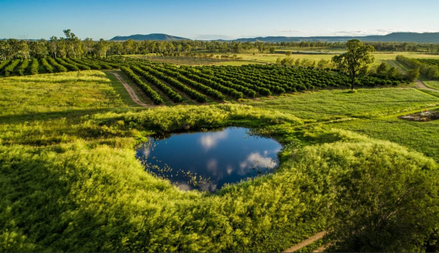Reids Creek QLD 4625 - Image 2