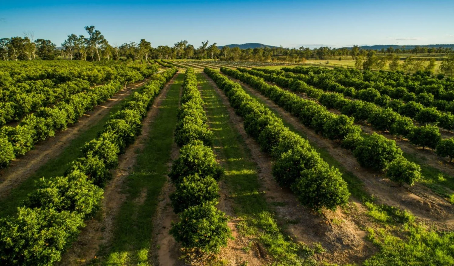 Reids Creek QLD 4625 - Image 4