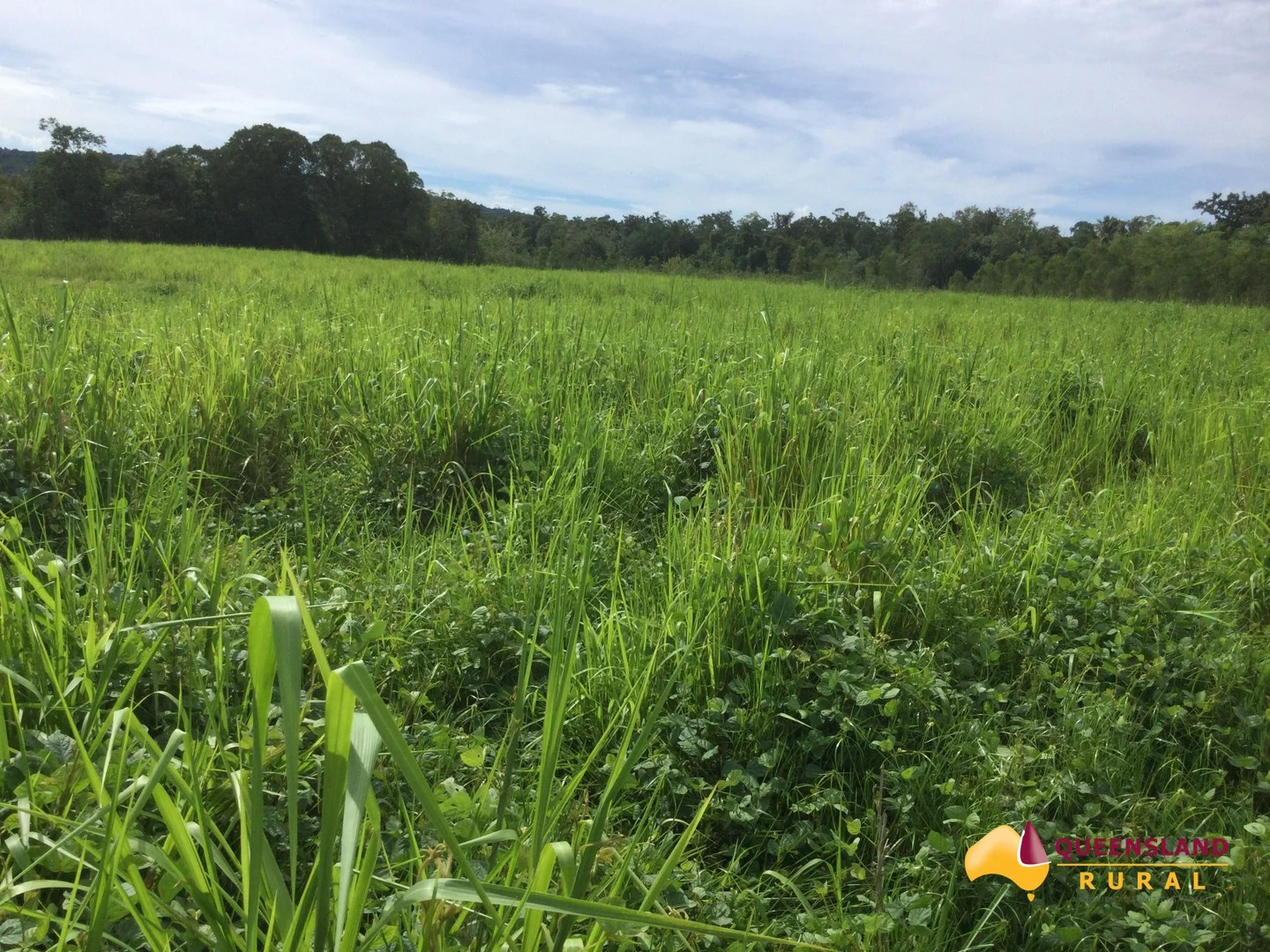 South Innisfail, QLD 4860 (1/1)