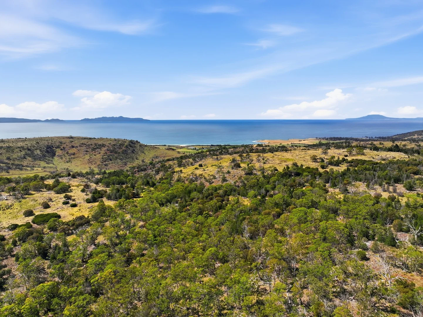 Tasman Highway (1/20)