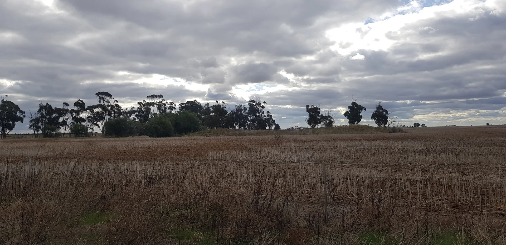 Tennyson VIC 3572 - Image 5