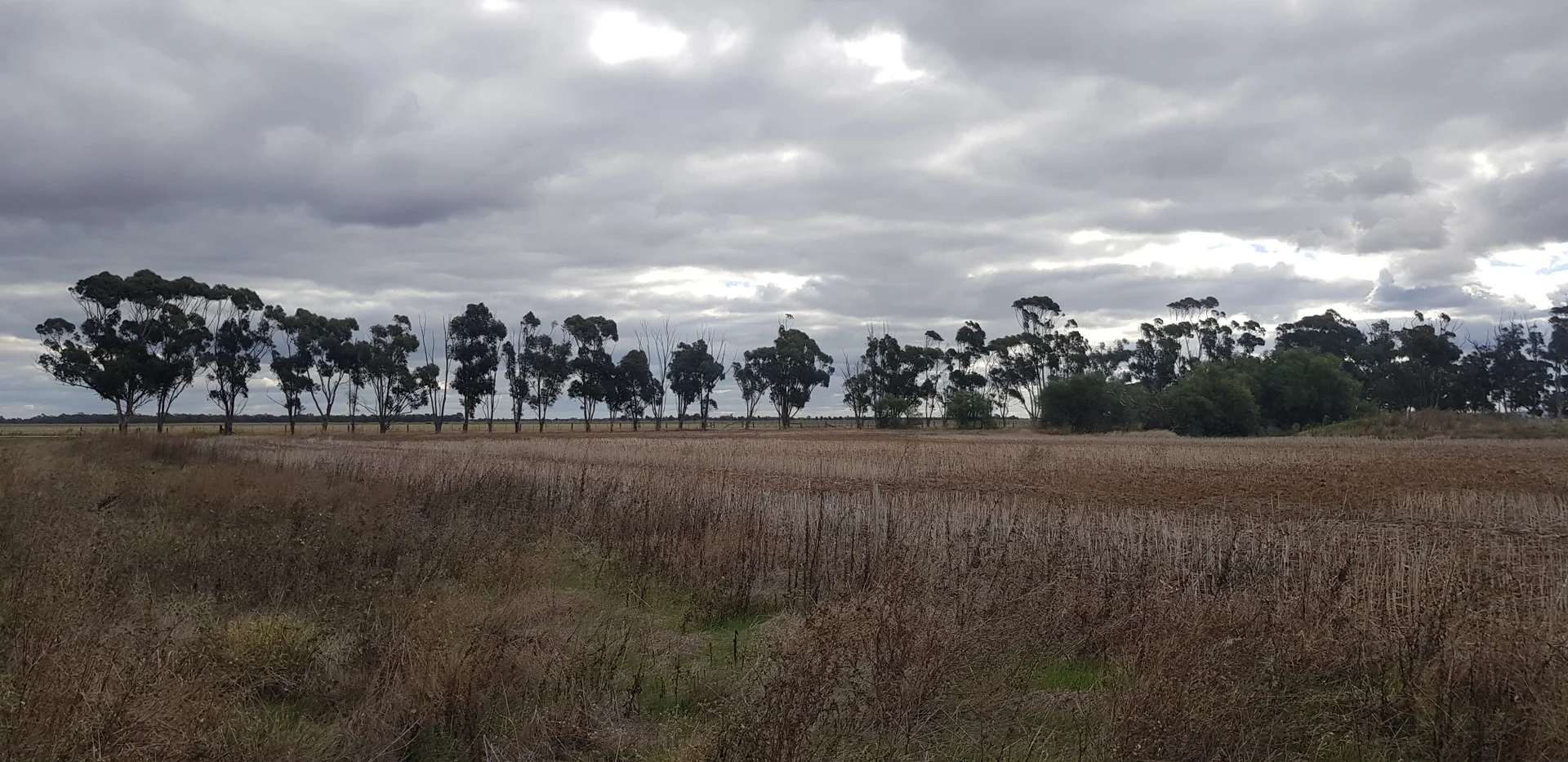 Tennyson VIC 3572 - Image 2