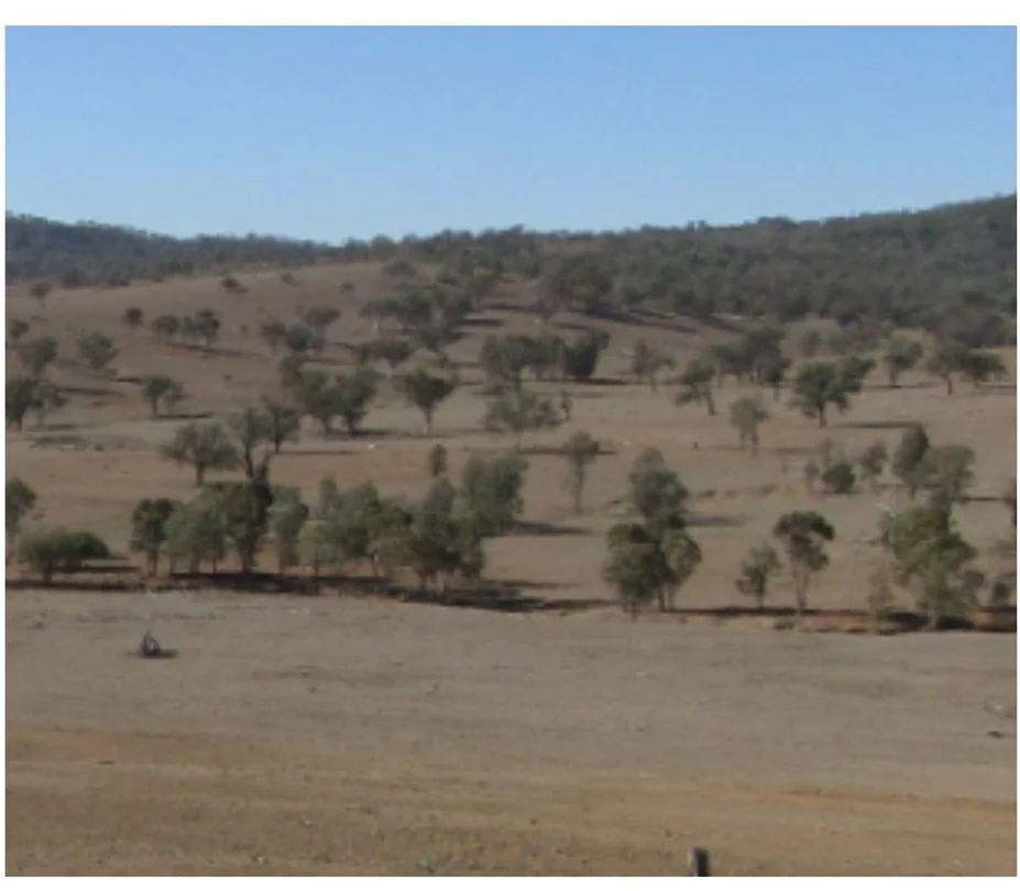 Tenterfield NSW 2372 - Image 5