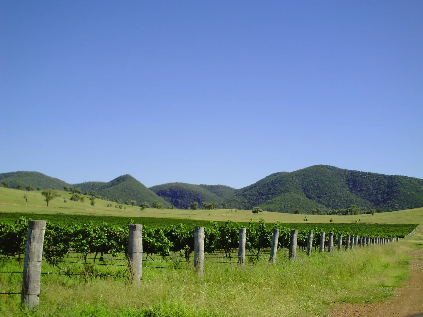 Tenterfield NSW 2372 - Image 4